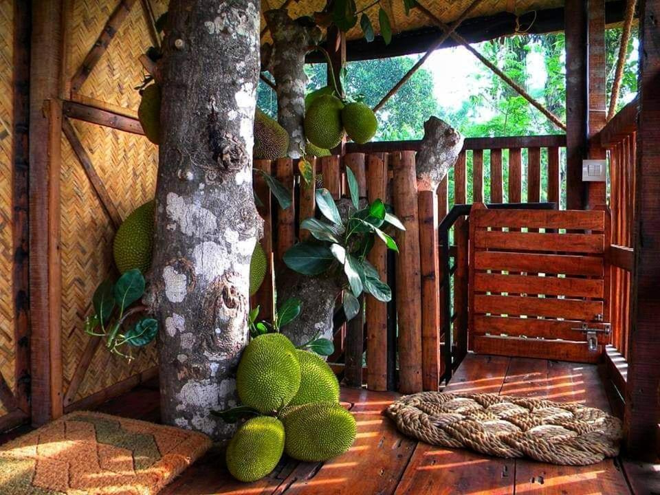 Greens Tree House & Wood House 술탄 바테리 외부 사진