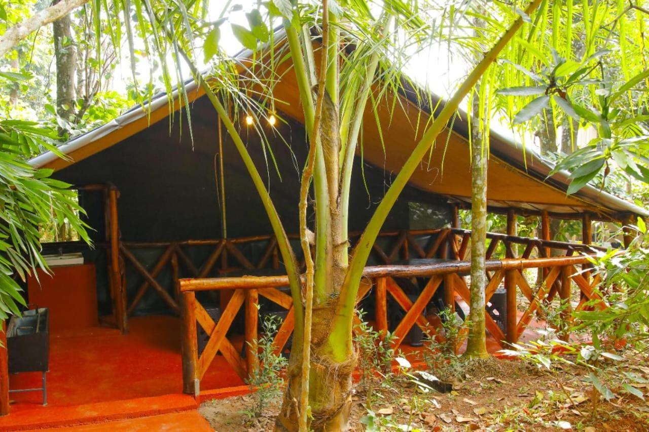 Greens Tree House & Wood House 술탄 바테리 외부 사진