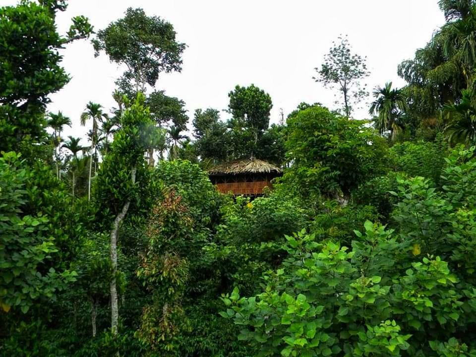 Greens Tree House & Wood House 술탄 바테리 외부 사진
