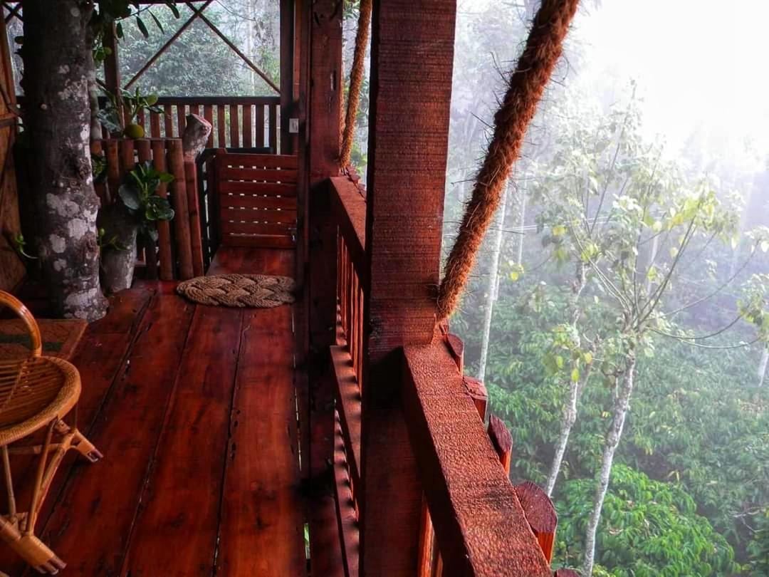 Greens Tree House & Wood House 술탄 바테리 외부 사진