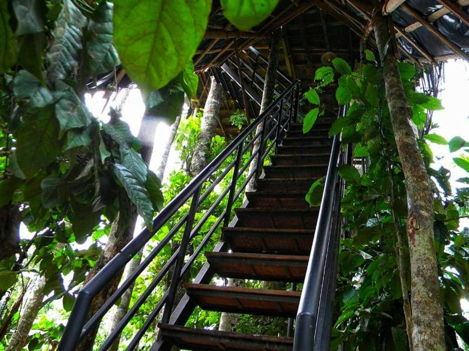 Greens Tree House & Wood House 술탄 바테리 외부 사진