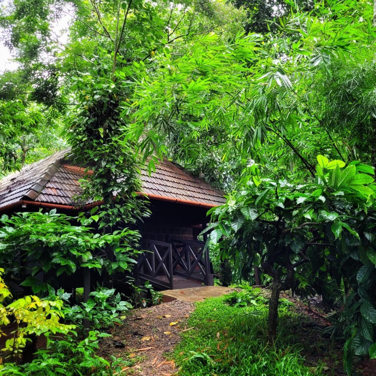 Greens Tree House & Wood House 술탄 바테리 외부 사진
