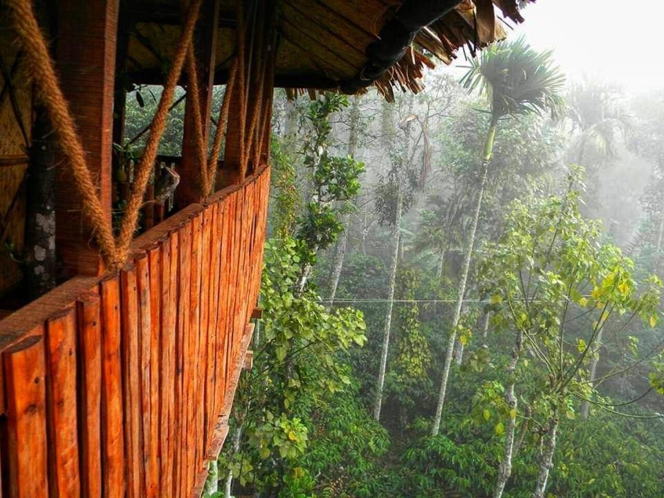Greens Tree House & Wood House 술탄 바테리 외부 사진