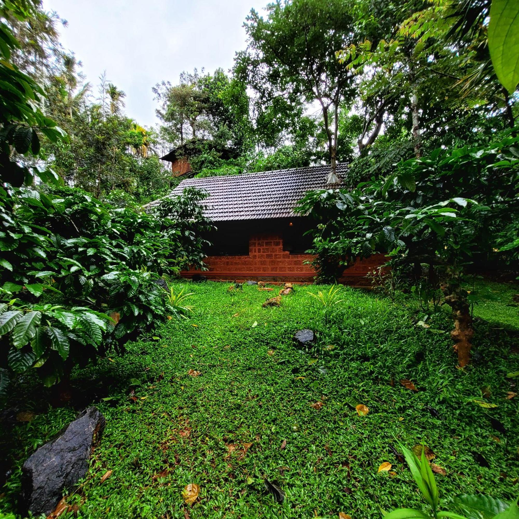 Greens Tree House & Wood House 술탄 바테리 외부 사진