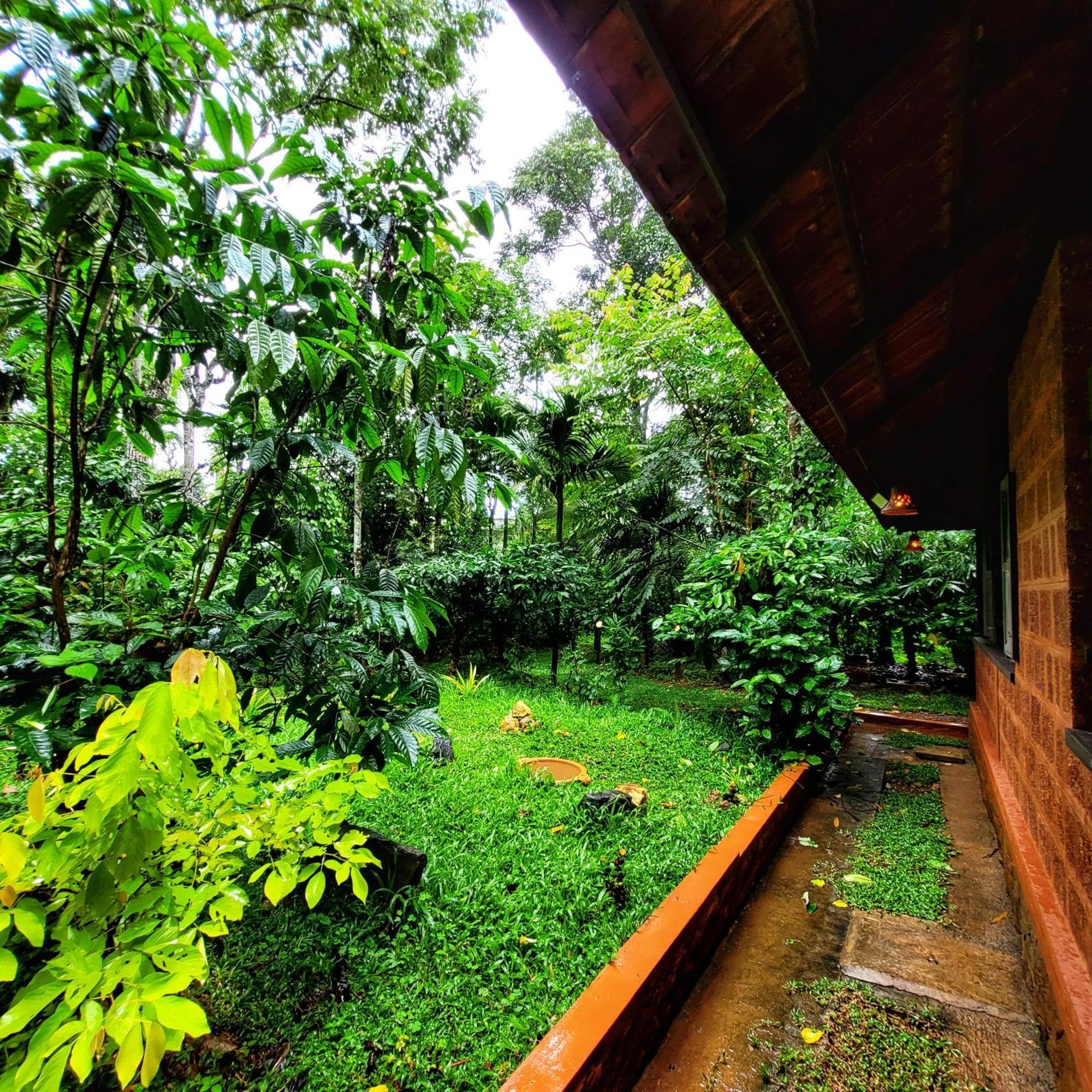Greens Tree House & Wood House 술탄 바테리 외부 사진