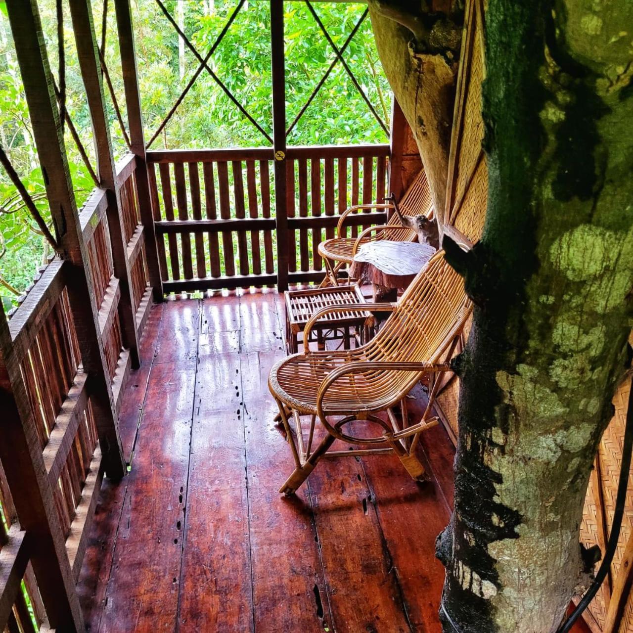 Greens Tree House & Wood House 술탄 바테리 외부 사진