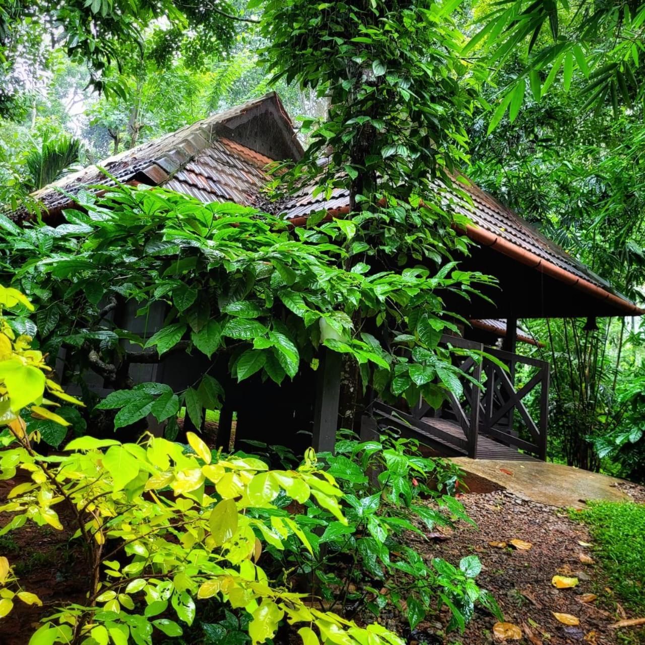 Greens Tree House & Wood House 술탄 바테리 외부 사진