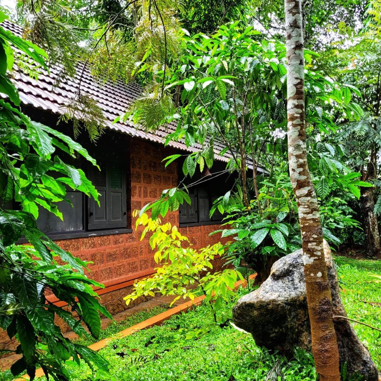 Greens Tree House & Wood House 술탄 바테리 외부 사진