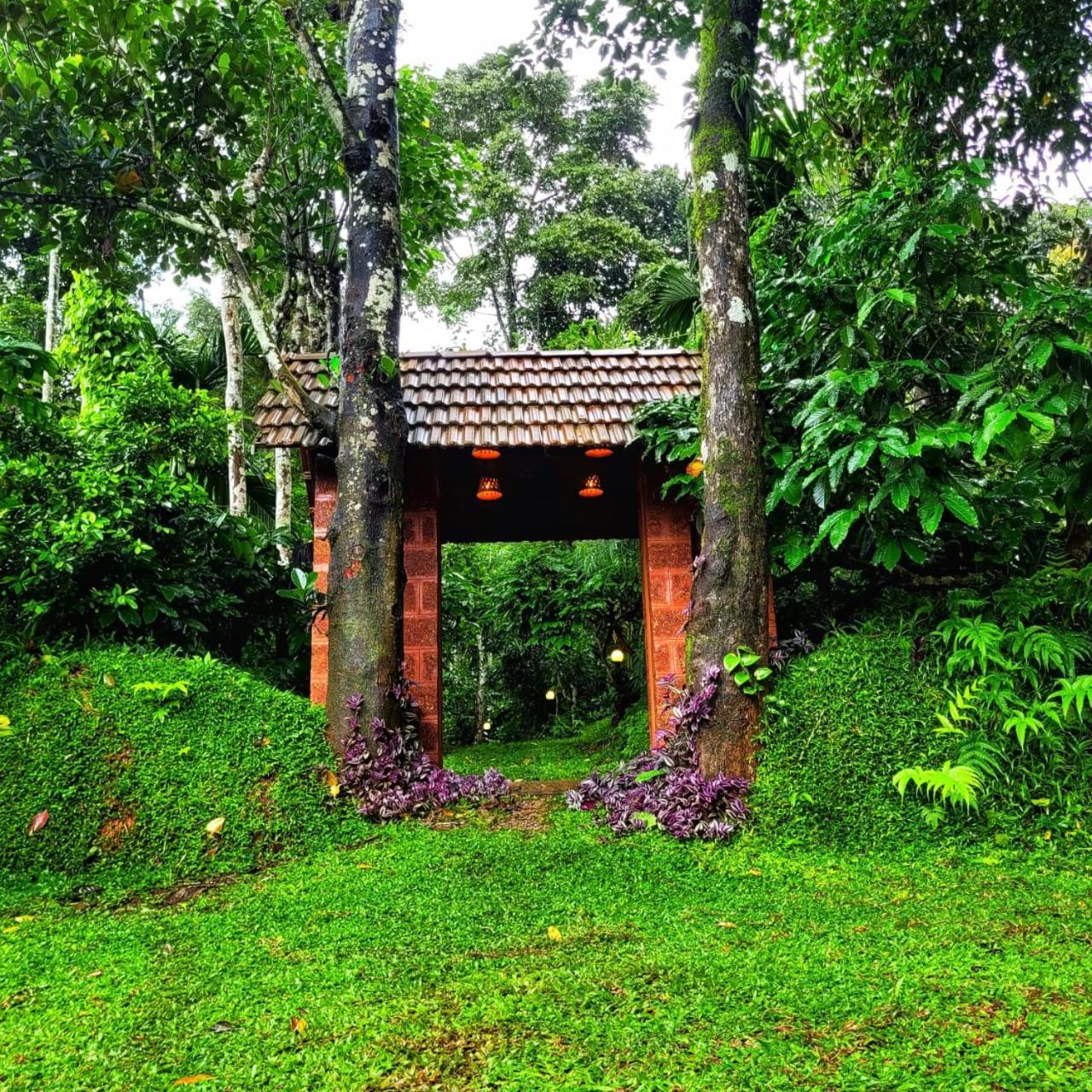 Greens Tree House & Wood House 술탄 바테리 외부 사진