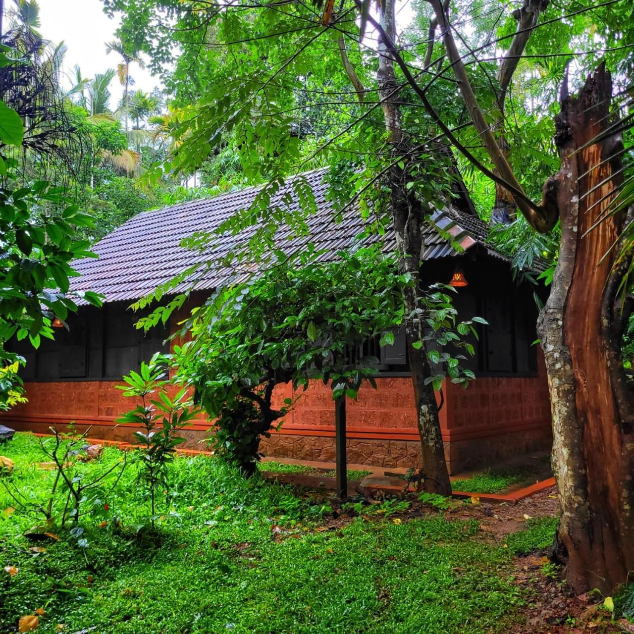 Greens Tree House & Wood House 술탄 바테리 외부 사진