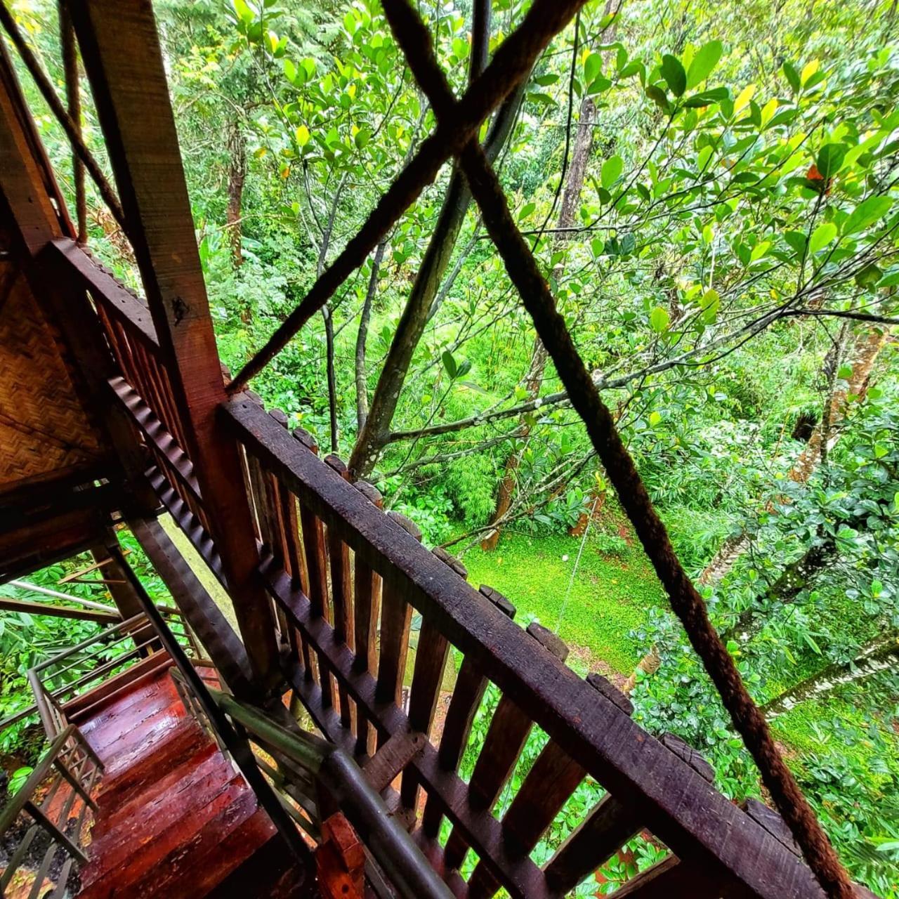 Greens Tree House & Wood House 술탄 바테리 외부 사진