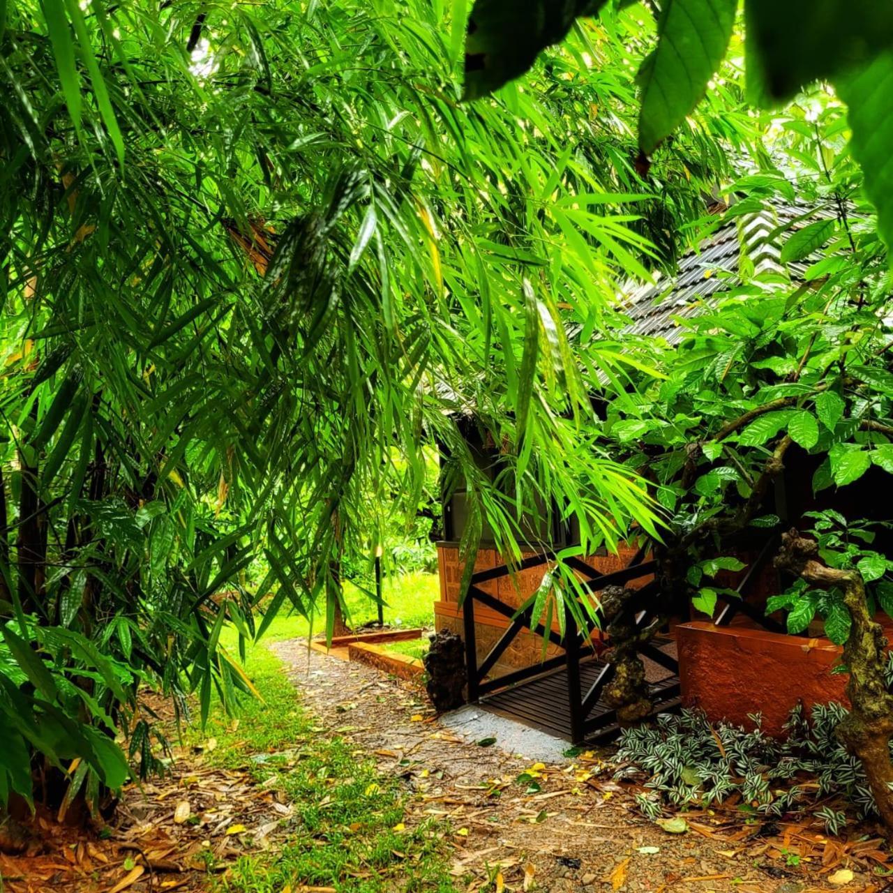 Greens Tree House & Wood House 술탄 바테리 외부 사진