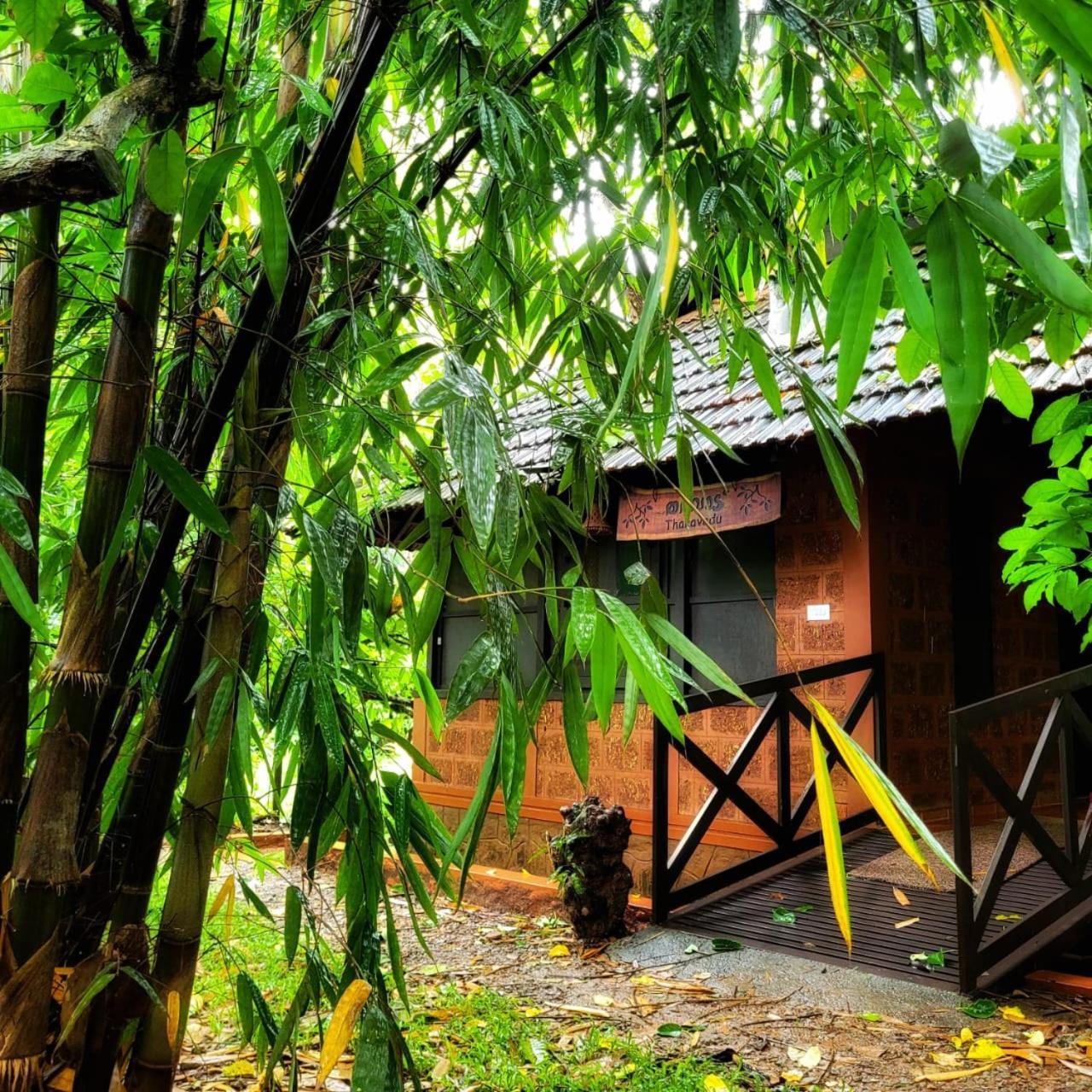 Greens Tree House & Wood House 술탄 바테리 외부 사진